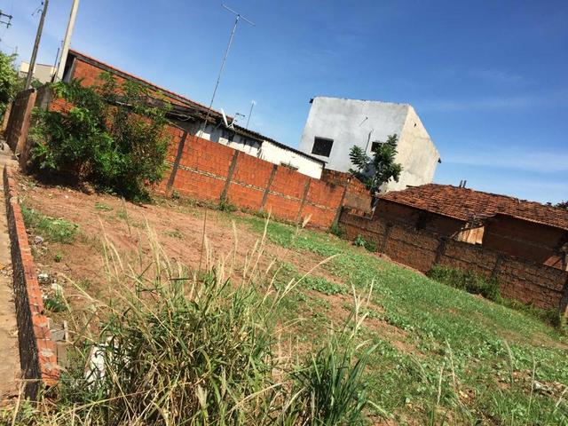 Terreno em Cedral - Foto 3