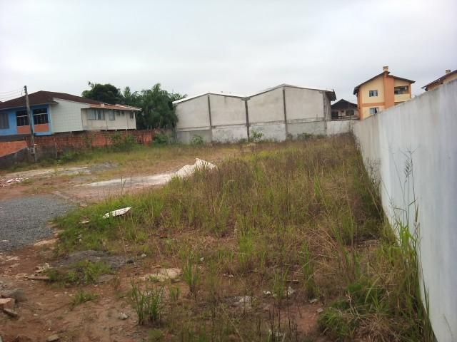 Terreno para alugar com 0 dormitórios em Iririu, Joinville cod:02913.002 - Foto 2
