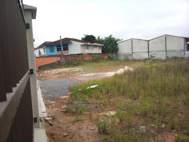 Terreno para alugar com 0 dormitórios em Iririu, Joinville cod:02913.002 - Foto 3