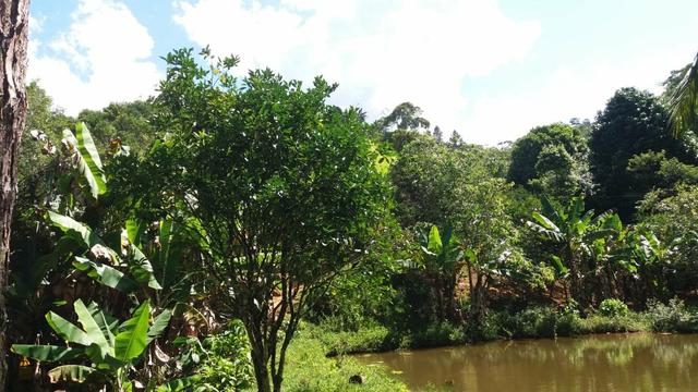 Linda área em Viana 5.000m2 - Foto 2