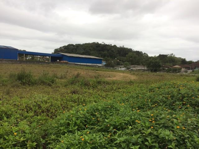 Terreno para alugar com 0 dormitórios em Floresta, Joinville cod:02517.002 - Foto 4