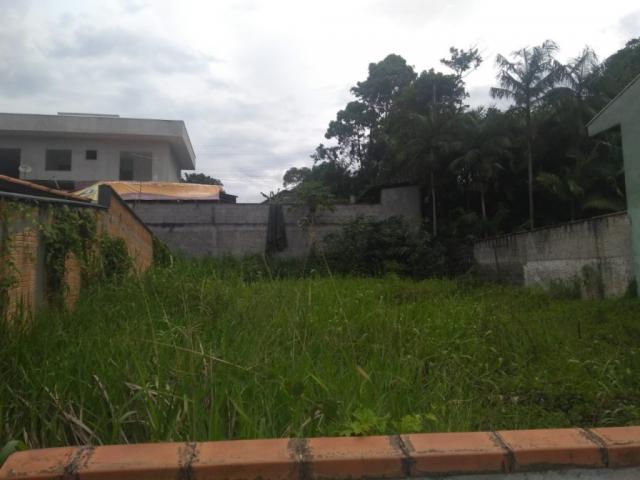 Terreno para alugar com 0 dormitórios em Joao costa, Joinville cod:08769.001 - Foto 4