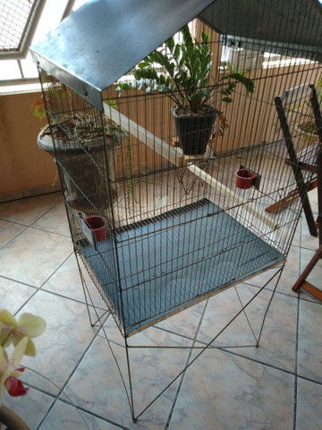 Gaiola Grande para Aves em Geral - Foto 2