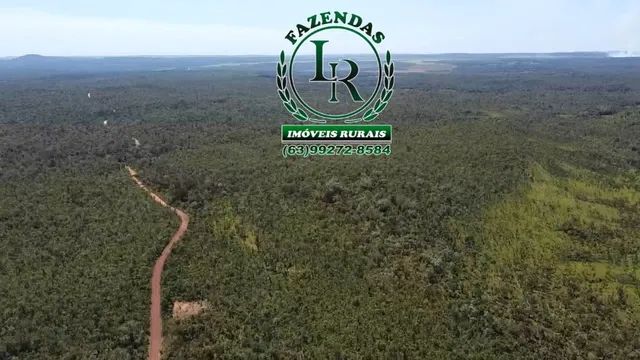 Fazenda 210 Alqueires  Agricultável Proximo Palmas - Foto 4