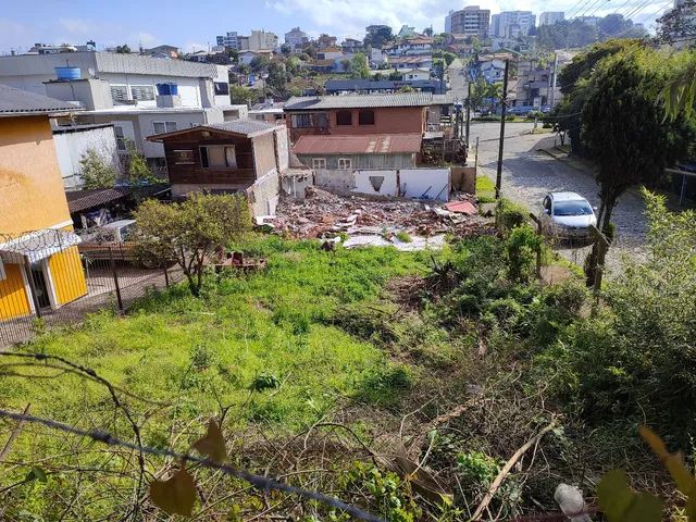Terreno no floresta barbada