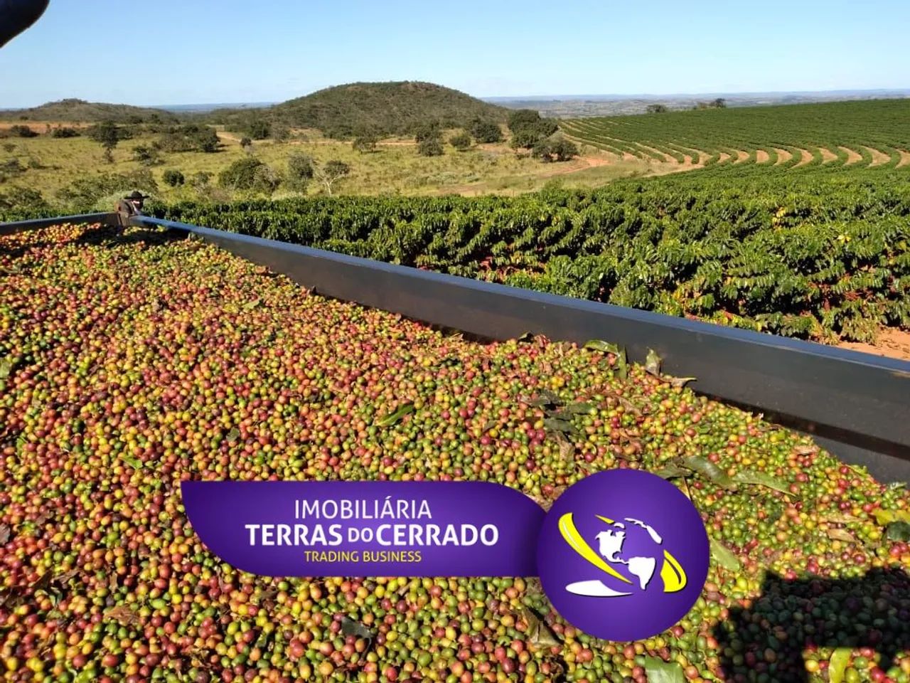FAZENDA COM 1670HEC PRA CAFE E GADO, RICA EM AGUA!!