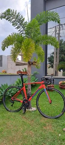 Speed Speed Trinks - Somente Venda