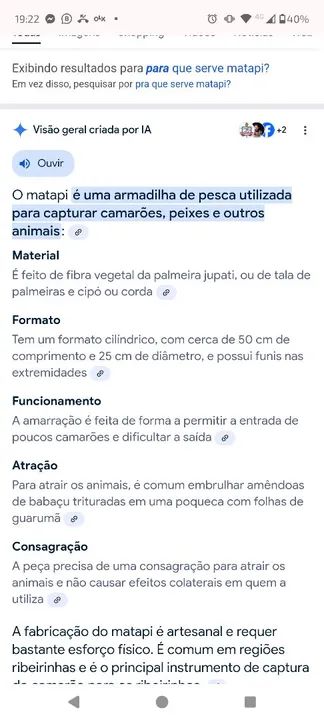 Matapi de Bambu - Armadilha para Camarões  - Foto 3