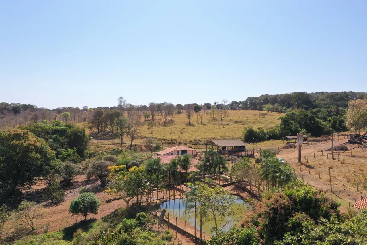 Fazenda a 30 km de Goiânia 23.78 Alqueires 