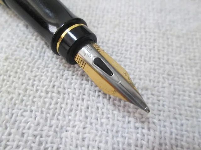 Caneta tinteiro Waterman Expert