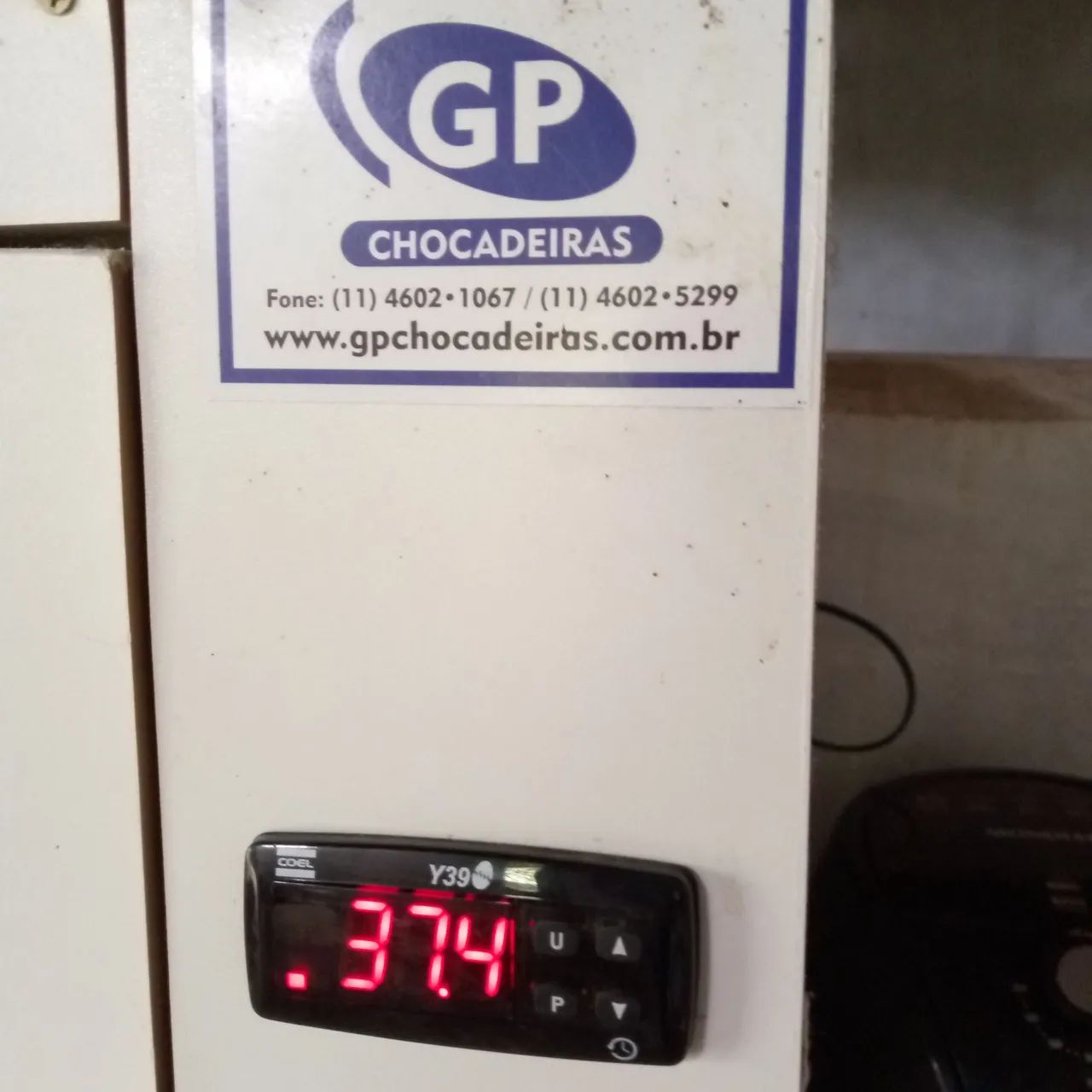 Chocadeira para ovos de galinha - GP Chocadeiras - Foto 6