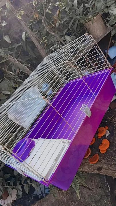 Gaiola para Roedores - Roxo