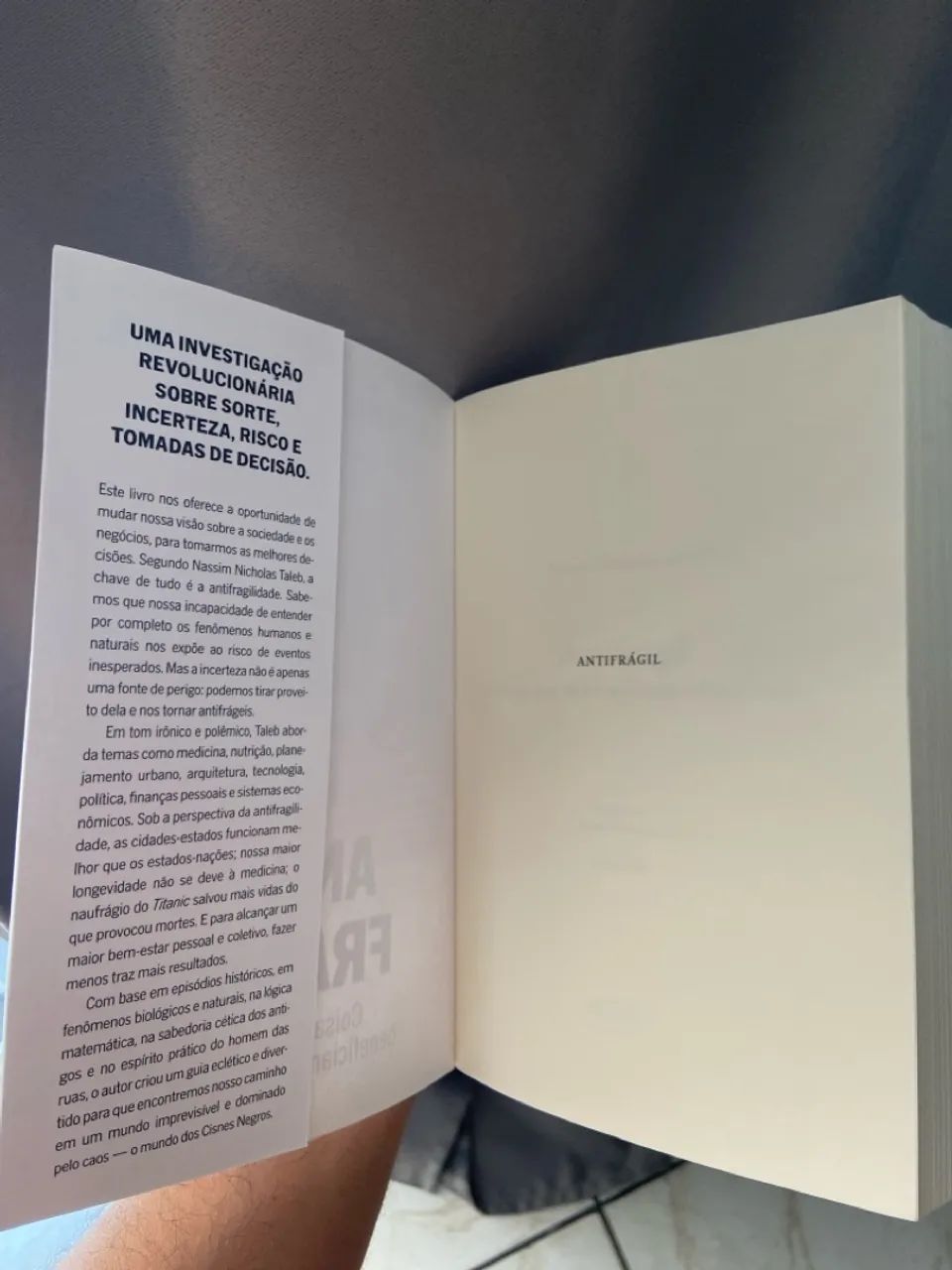 Anti-Fragil Nassim Nicholas Taleb - Foto 2