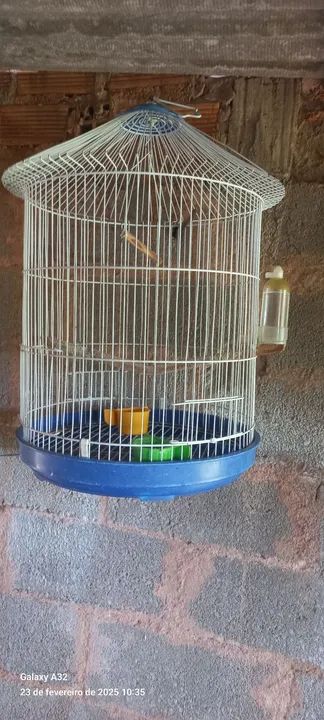 Preço de desapego muito nova