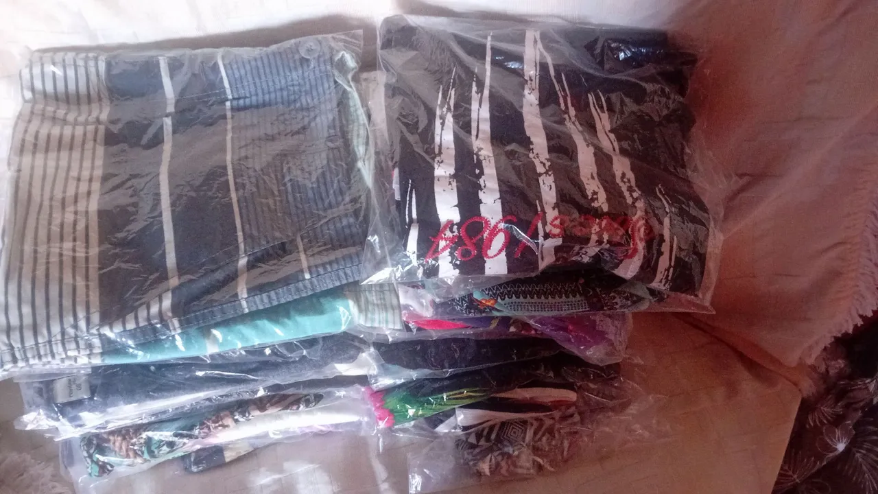 Lote de Shorts e Bermudas