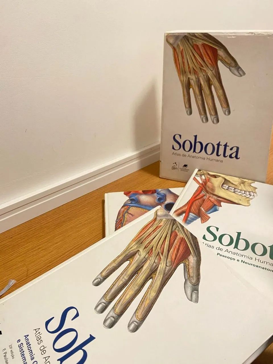 Sobotta Anatomia - Livros de Anatomia Humana - Foto 3
