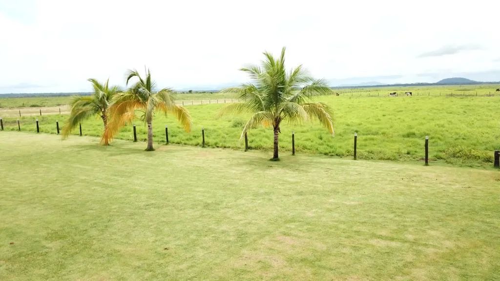 Fazenda a Venda Município Santa Terezinha Mato Grosso. - Foto 3