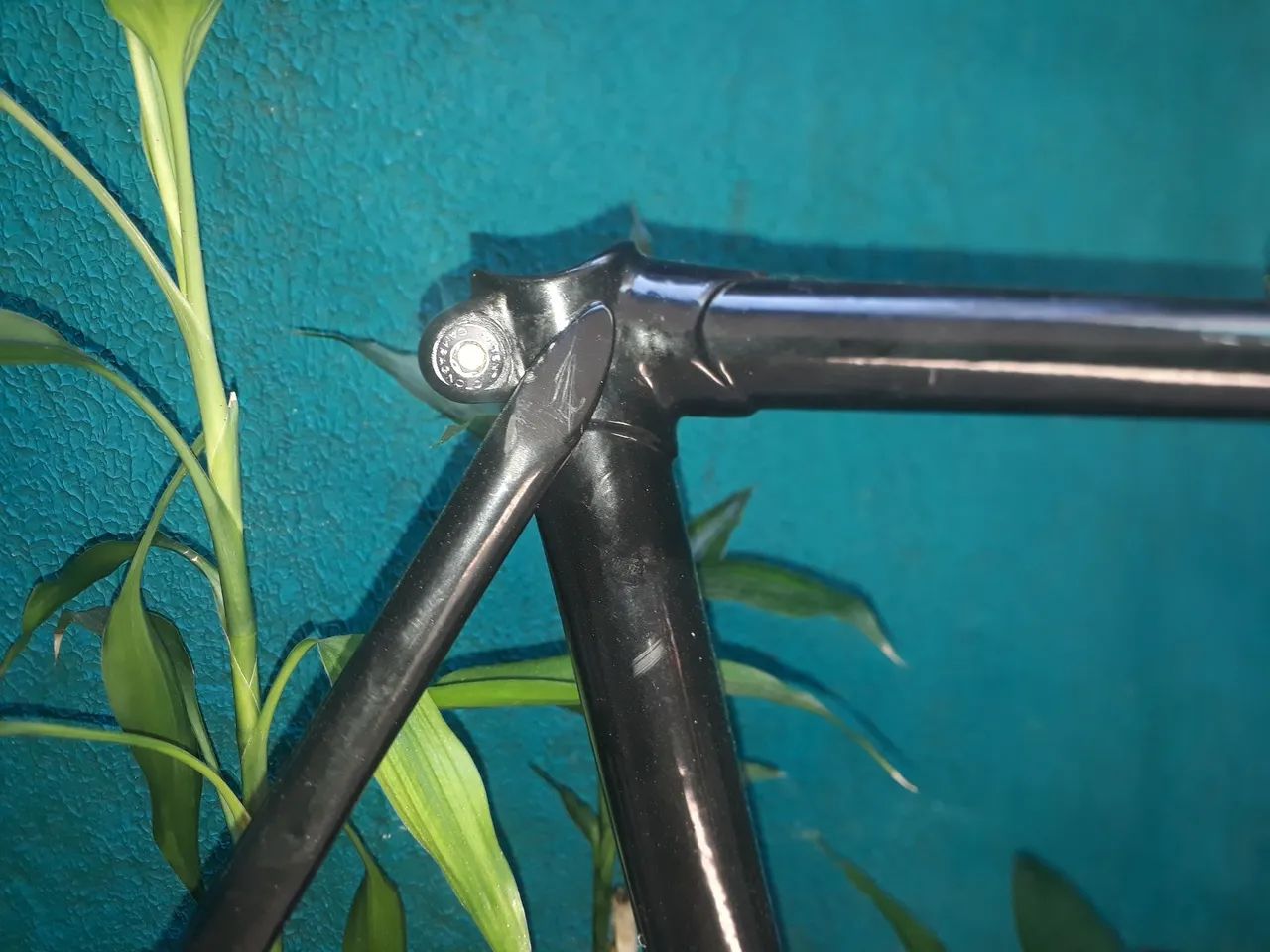 Frameset Bianchi  - Foto 3