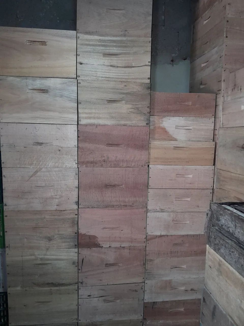 Apicultura 64298580725634120