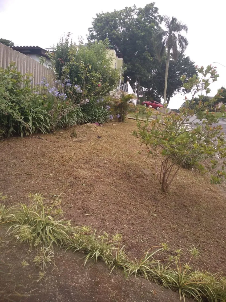 Jardineiro / Jardinagem em geral