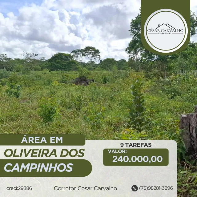 ÁREA EM OLIVEIRA DOS CAMPINHOS - 9 TAREFAS