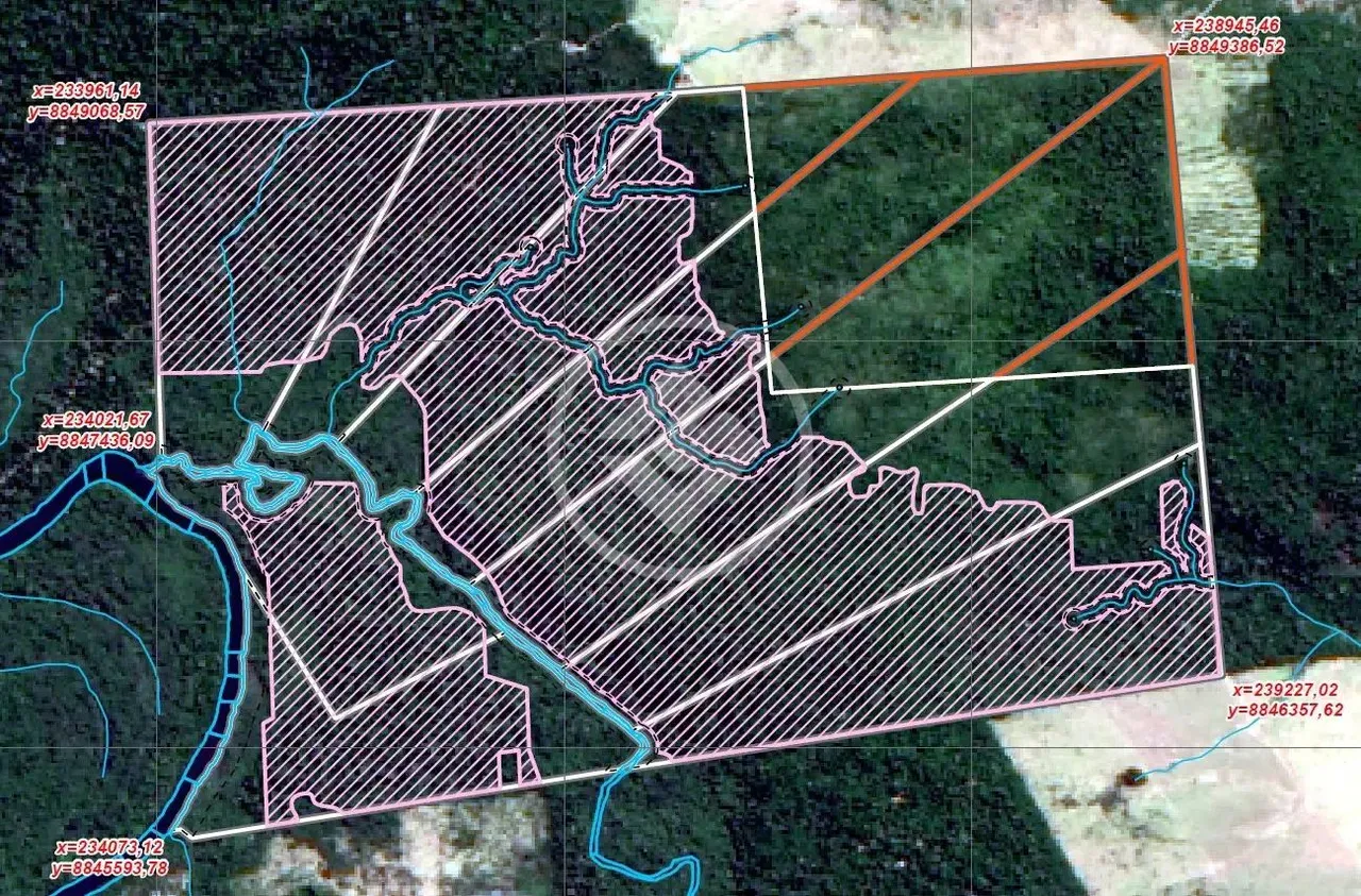 Fazenda Cachoeira - 1.600 Hectares - Estudo de Projeto de Carbono - R$ 6.660.000,00 codigo