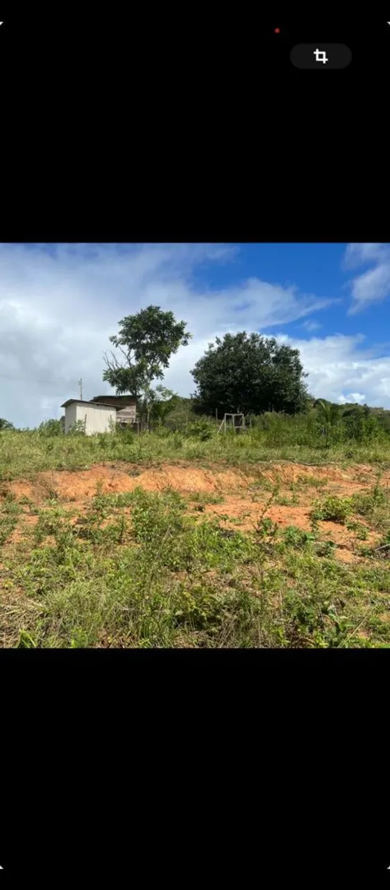 Vendo Sitio são Luís do Quintude valor 153.000,00