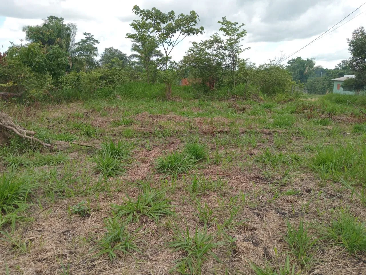 Terreno