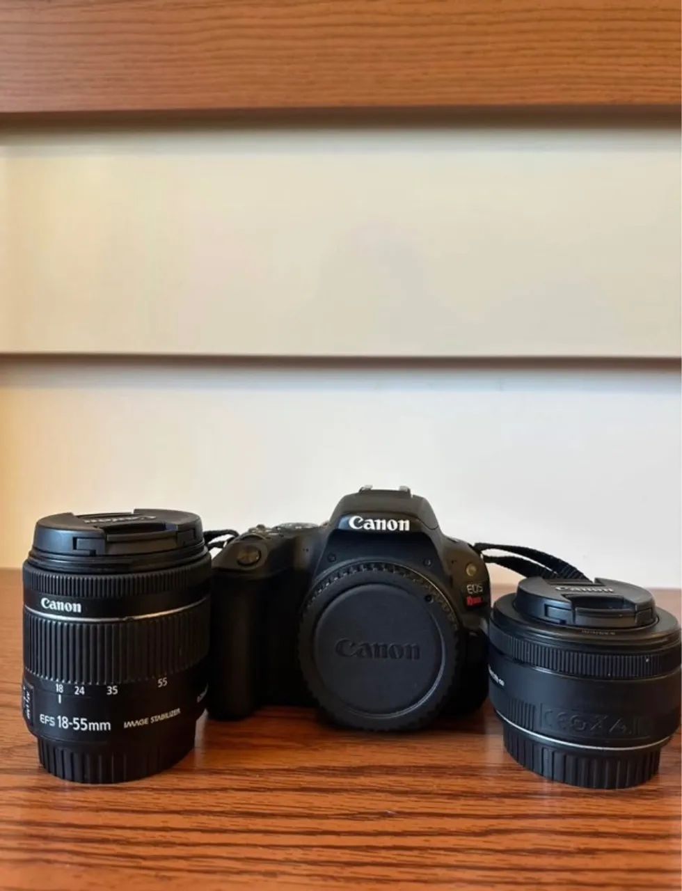 Canon Sl2 + 50mm e MUITO MAIS