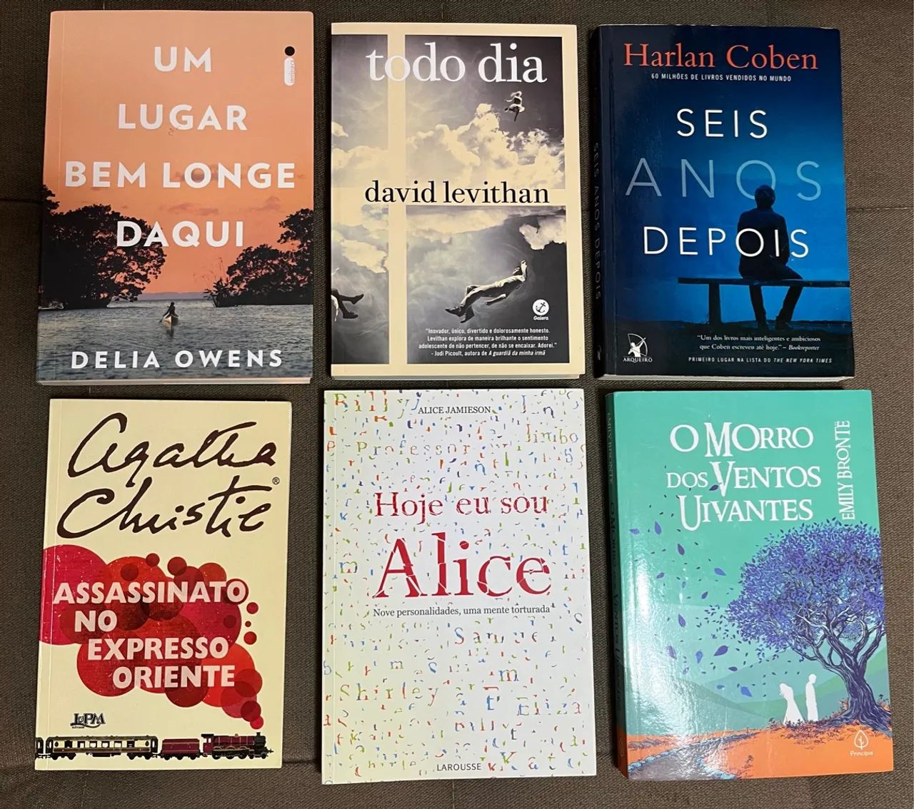 Livros diversos - ótimo estado - Livros e revistas - Rio