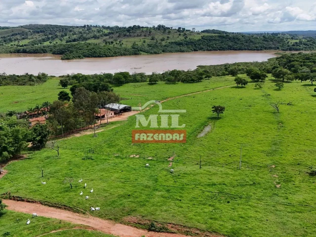 Fazenda 100 alqueires 484 hectares margens represa ( Nova Aurora )