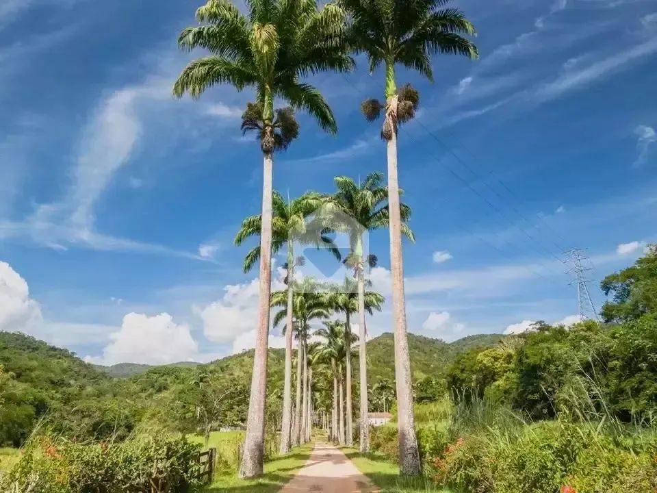 Fazenda para venda com 13 quartos, 2393500m² - Bemposta - Três Rios/RJ - Foto 5