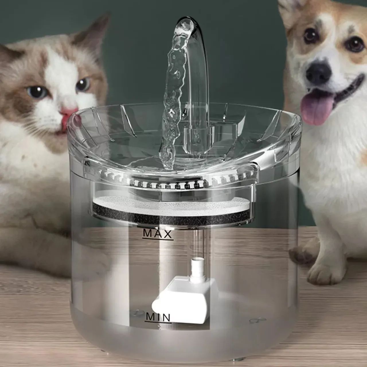 Fonte de água para gatos - Bebedouro automático