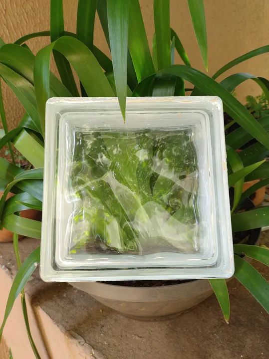 Tijolos de vidro  - Foto 2