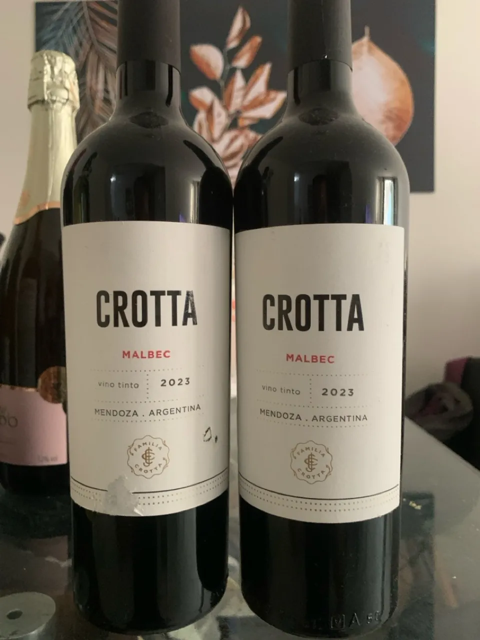 Vinho crotta malbec