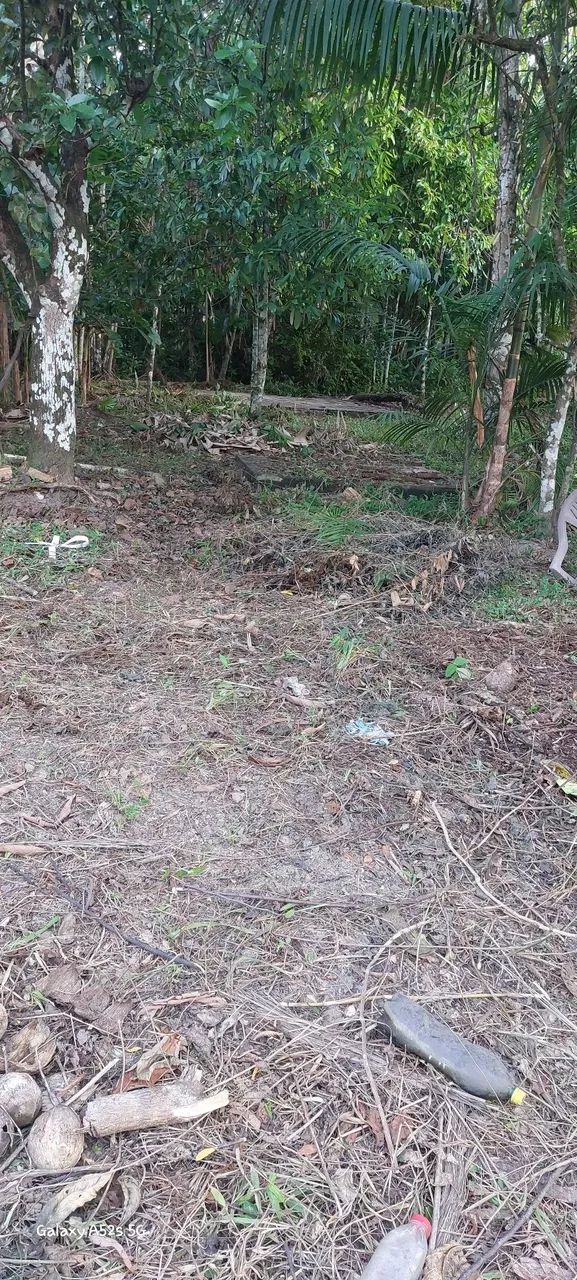 Terreno - Foto 3