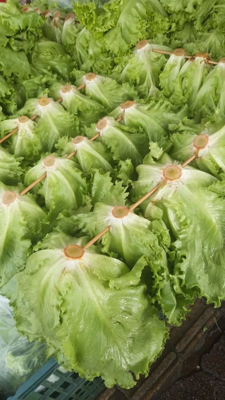 FORNECEDOR DE HORTALIÇAS GOIANIA