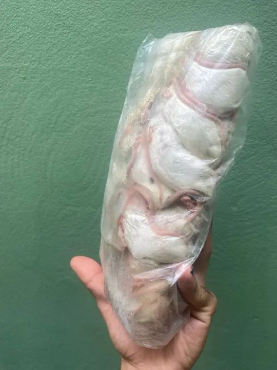 Camundongo adulto - Alimento vivo - Alimentação para pets não convencionais  - Foto 2