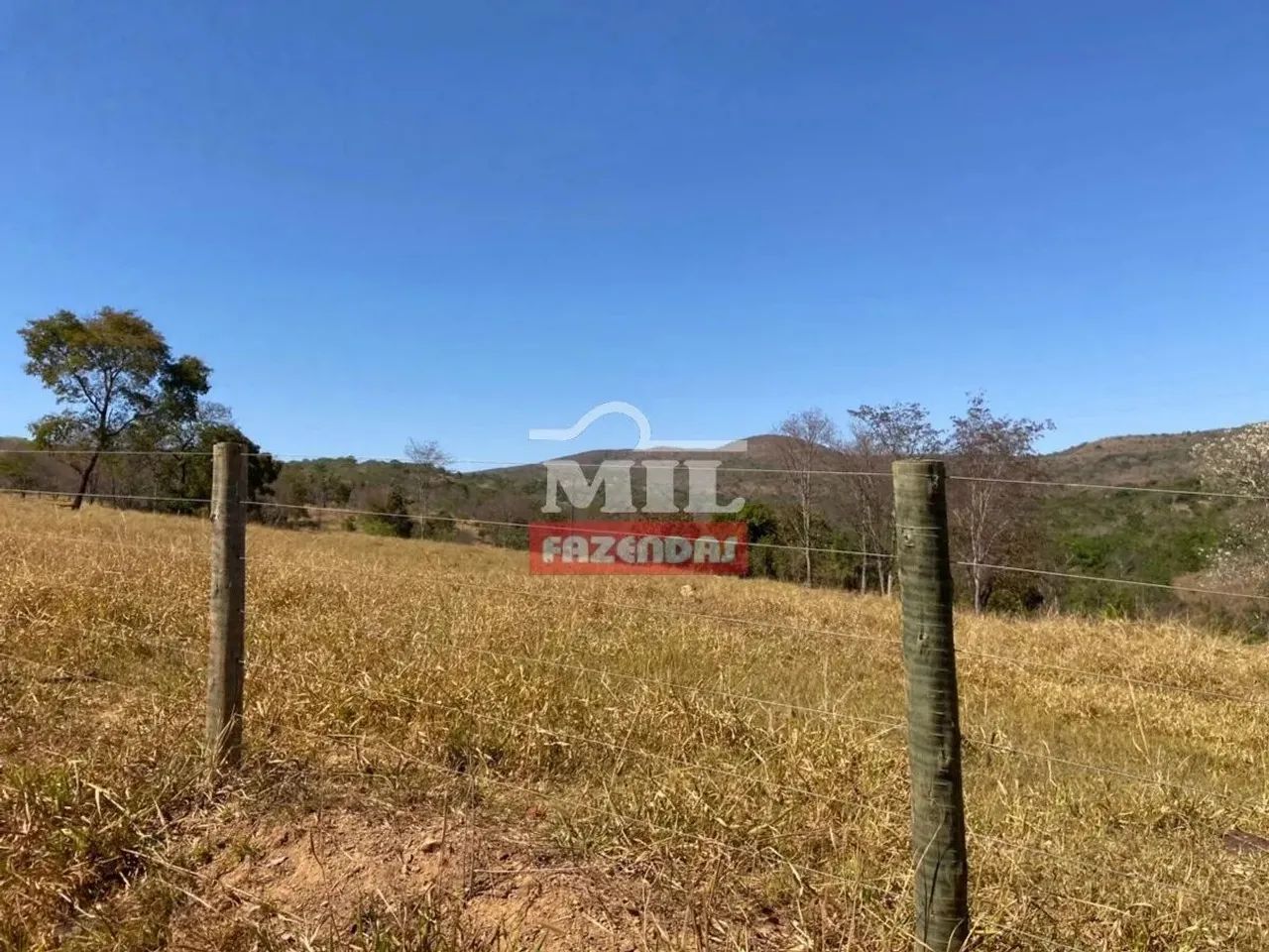 Fazenda 15 Alqueires (72,6 Hectares) Pirenopolis - GO - Foto 4