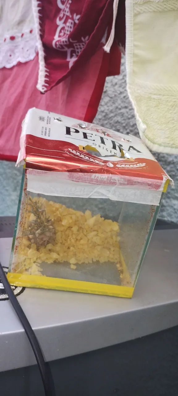 Aquários são 4 para betas  - Foto 2