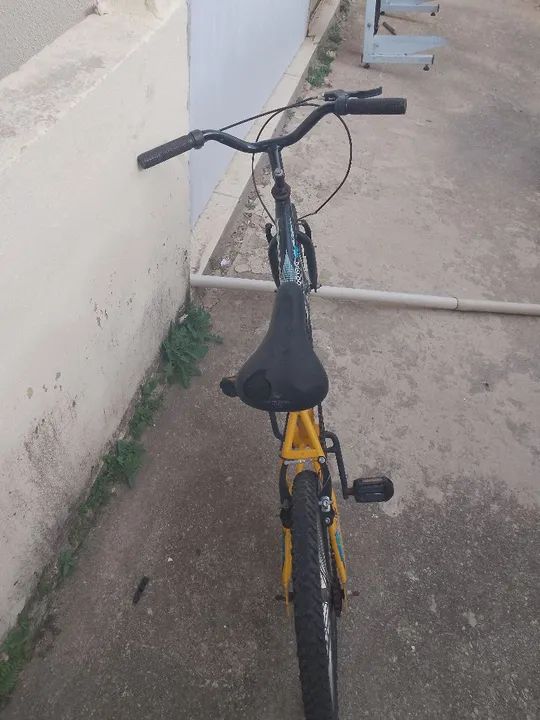 Bicicleta Verdes Verão - Foto 2