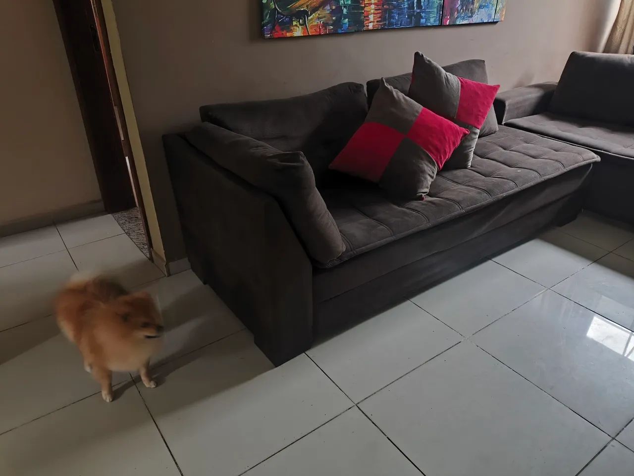 Excelente estado de conservação!  - Foto 4