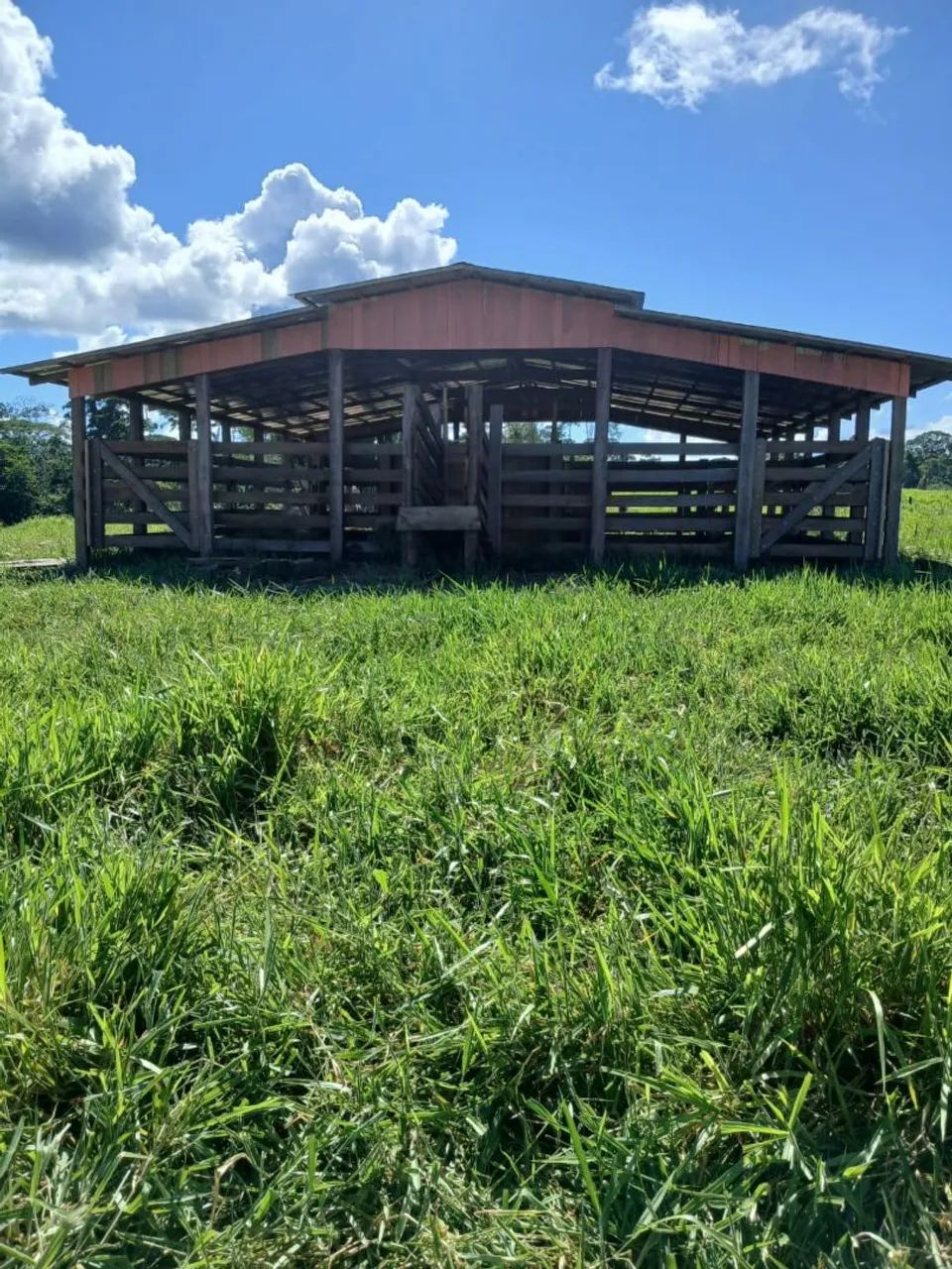 DOIS LOTES À VENDA EM FEIJÓ  - Foto 2