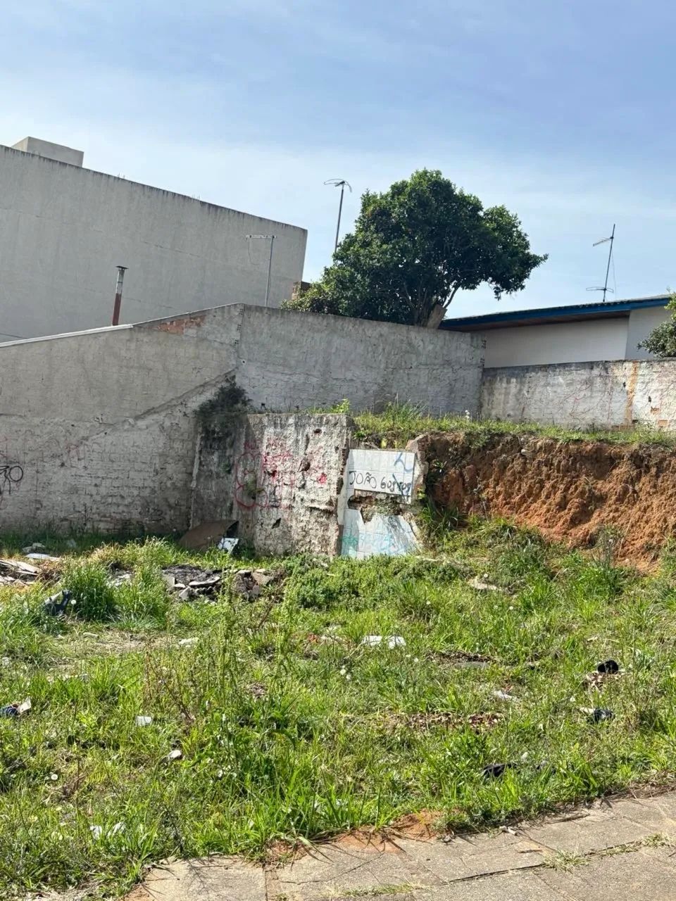 Foto - Fazenda Rio Grande - Gralha Azul