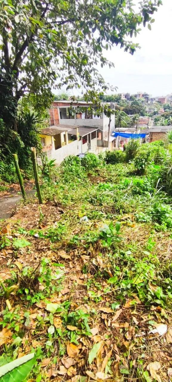 Lotes a venda ( Próximo ao derba e novo VLT ).