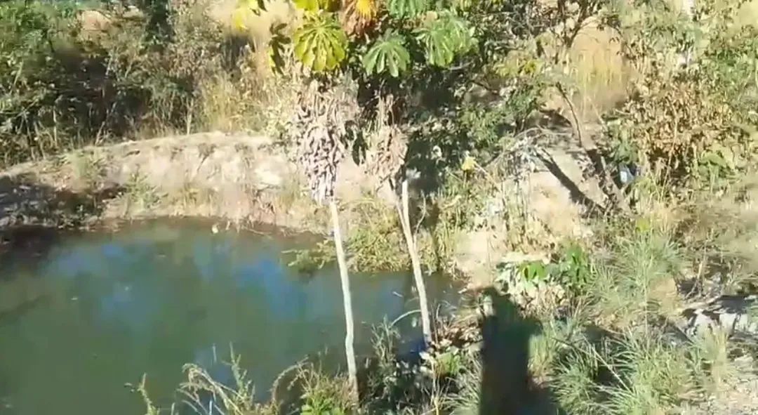 Chácara 3 Alqueires Nova Iguaçu Goiás - Foto 5