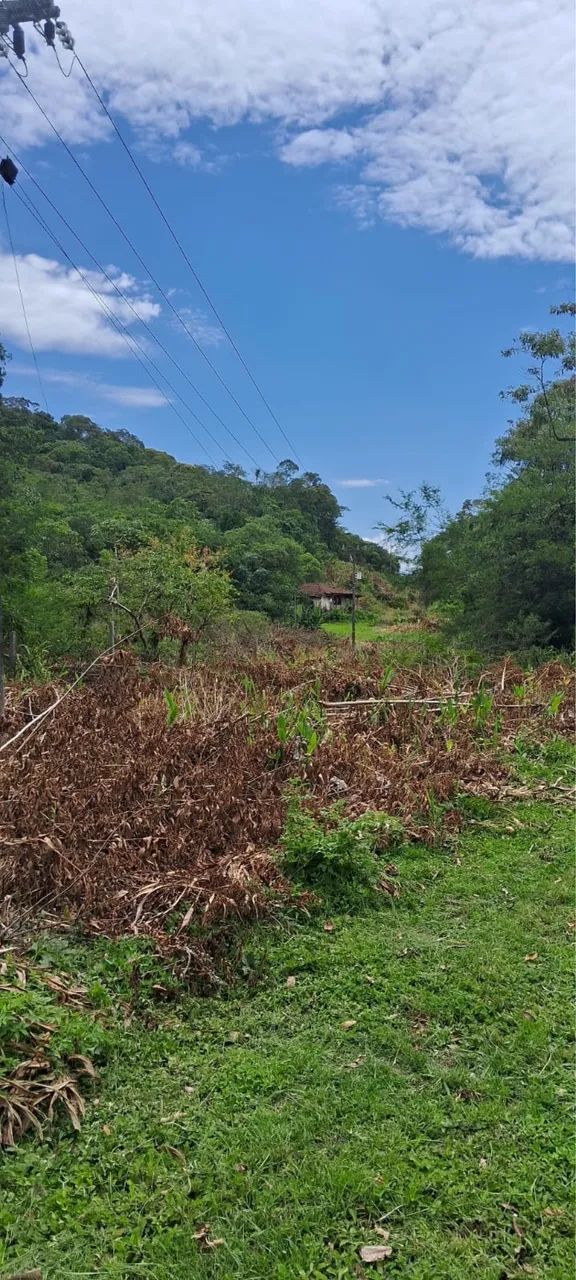 SÍTIO À VENDA EM ANTONINA - PR - Foto 3