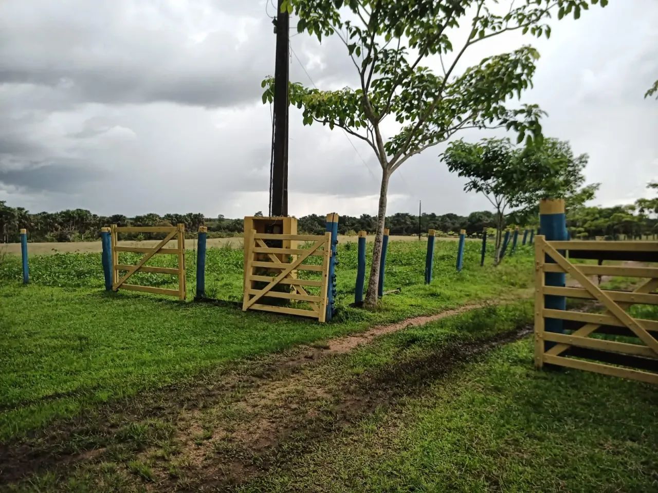Fazenda com 733 hectares para pecuária - Foto 4