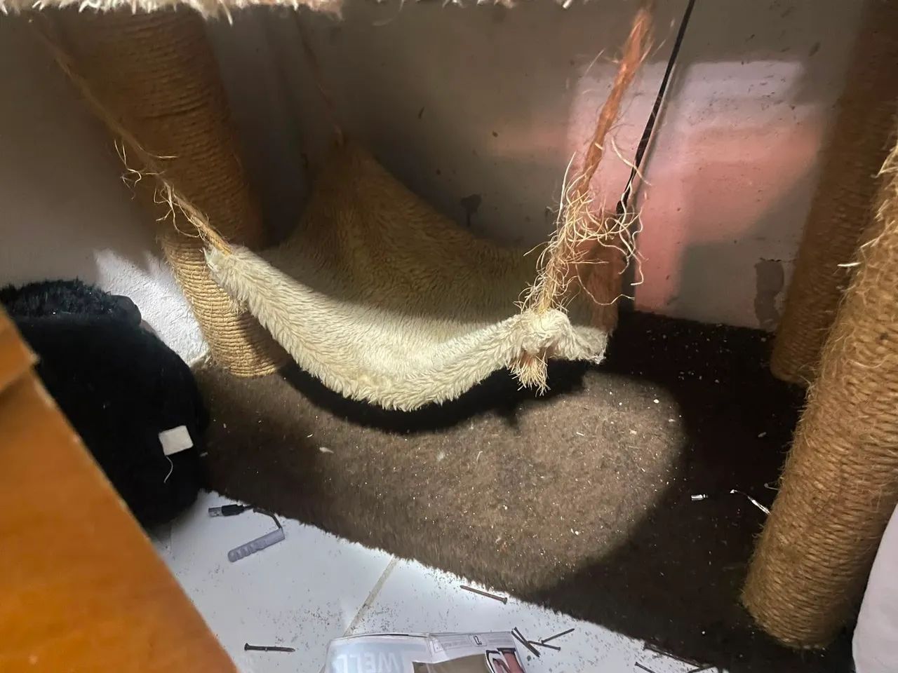 Casinha para gato  - Foto 4