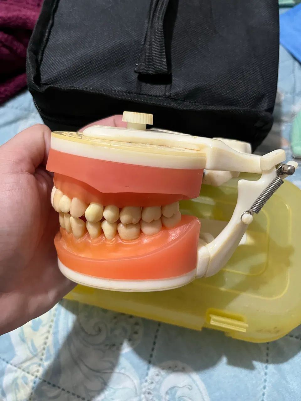 Manequim Odontologia  - Foto 4